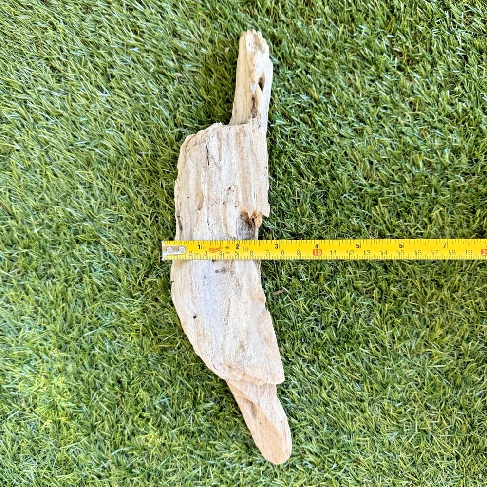 2 Natural Driftwood Pieces California Coast Rustic Beach Decor Aquarium Art